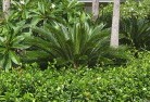 West Stowetropical-landscaping-4.jpg; ?>