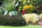 West Stowetropical-landscaping-9.jpg; ?>